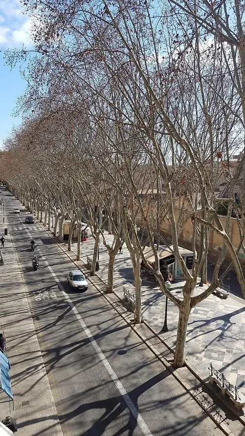 Rambla Palma Center Hotel Palma de Mallorca