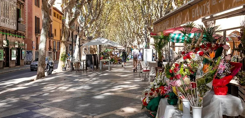 Rambla Palma Center Hotel 0*, Palma de Mallorca