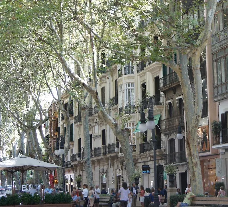 בית הארחה מלון Rambla Palma Center